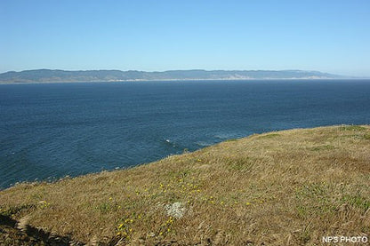 Take the Long Way | Point Reyes, California Tee