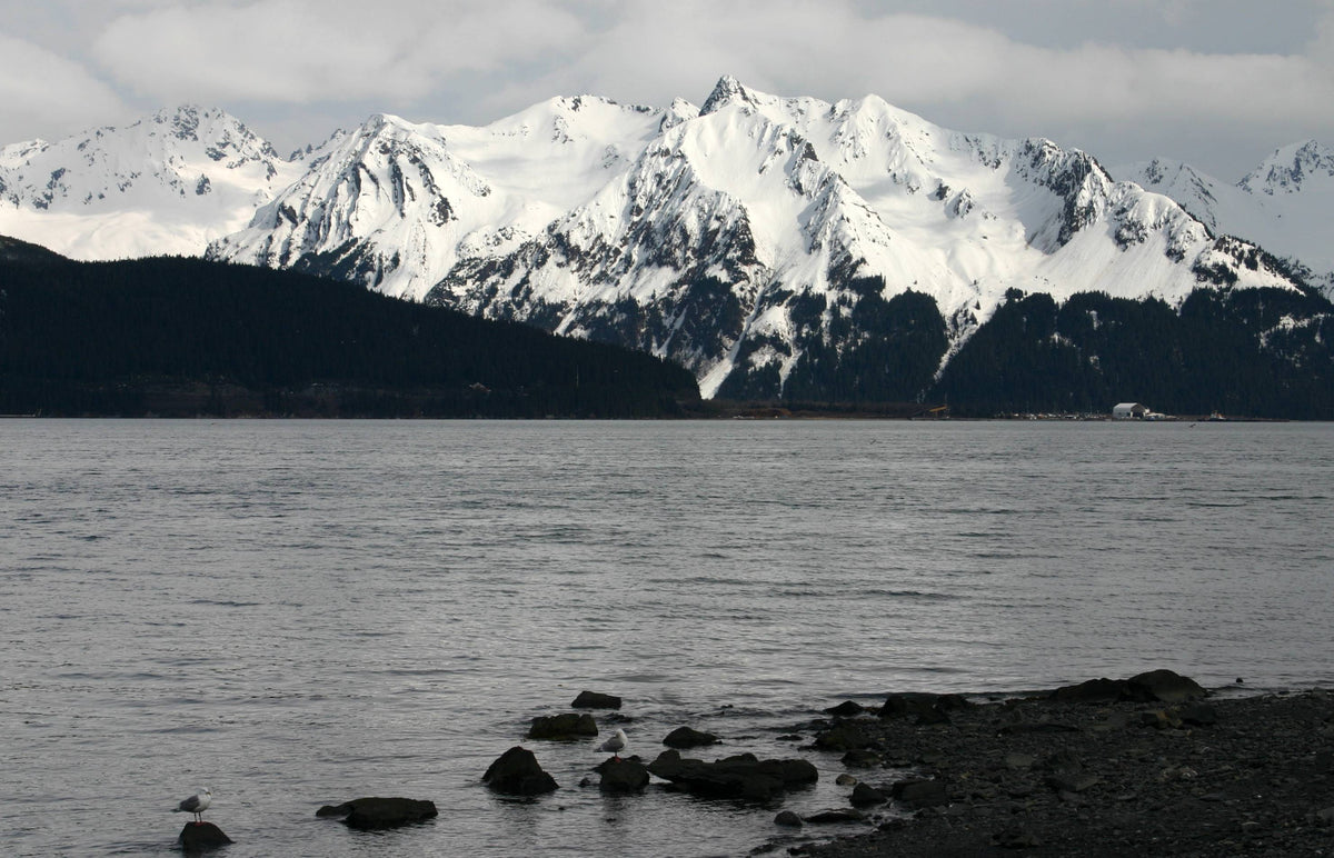 Saltwater Quiet | Seward, Alaska Tee