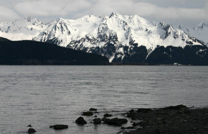 Saltwater Quiet | Seward, Alaska Tee